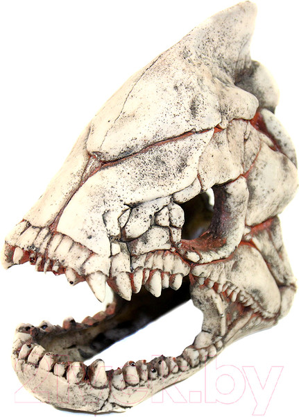 Изображение товара Декорация для аквариума Deksi Скелет рыбы №902