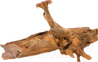 Изображение товара Декорация для аквариума Aquael Mangrove Root M / 200292
