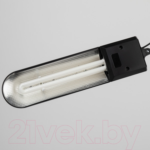 Изображение товара Настольная лампа ЭРА NL-202-G23-11W-BK (черный)