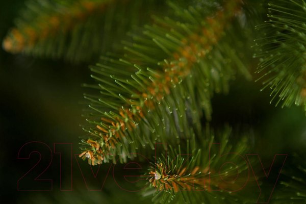 Изображение товара Ель искусственная GreenTerra Бовари (2.5м)