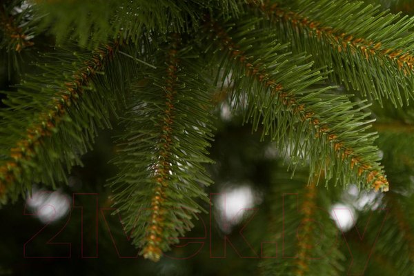 Изображение товара Ель искусственная GreenTerra Бовари (2.5м)