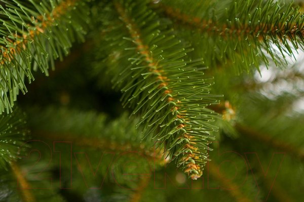 Изображение товара Ель искусственная GreenTerra Бовари (2.5м)