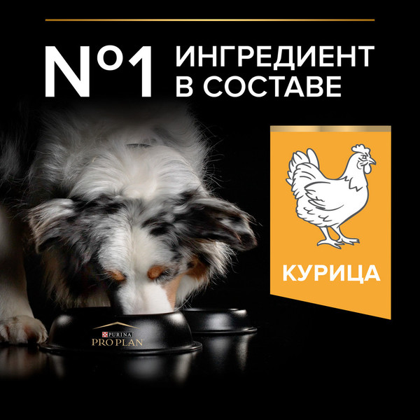 Изображение товара Сухой корм для собак Pro Plan Adult Medium с курицей и рисом (14кг)