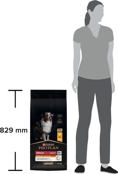 Изображение товара Сухой корм для собак Pro Plan Adult Medium с курицей и рисом (14кг)