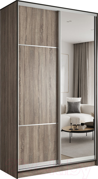 Изображение товара Шкаф-купе Евва 138 TS.02 / АЭП ШК.2 02 (трюфель/серебро)