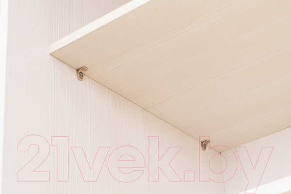 Изображение товара Шкаф-купе Евва 24 BBZ.04 / АЭП ШК.3 01 (бодега/жемчуг зерно)