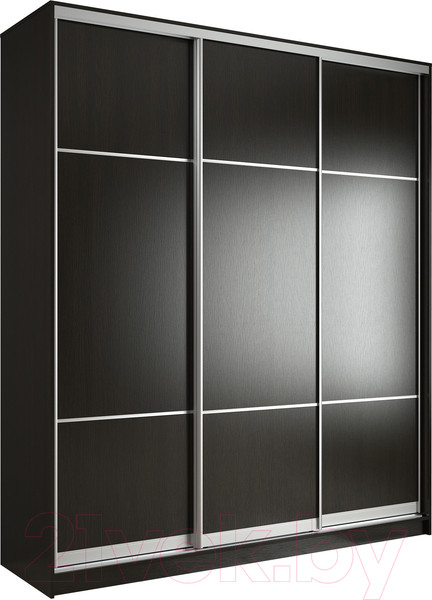 Изображение товара Шкаф-купе Евва 203 VS.03 / АЭП ШК.3.02 (венге/серебро)