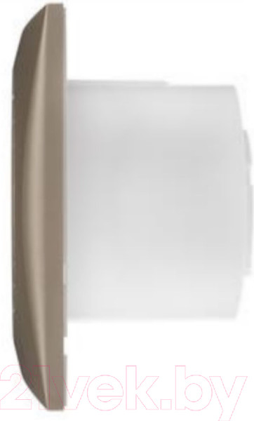 Изображение товара Вентилятор накладной Soler&Palau Silent-100 CZ Champagne / 5210616900