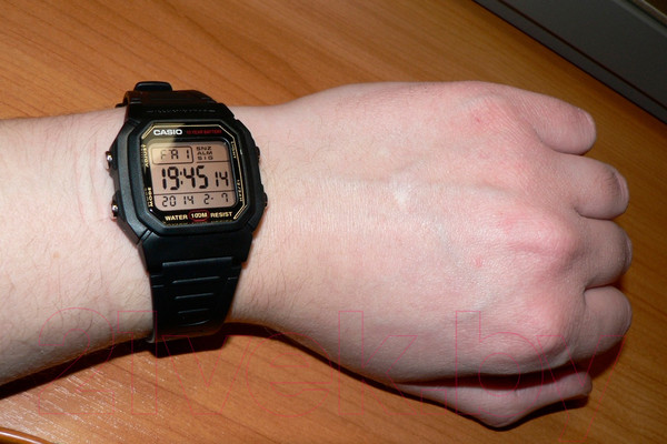 Изображение товара Часы наручные мужские Casio W-800HG-9AVES