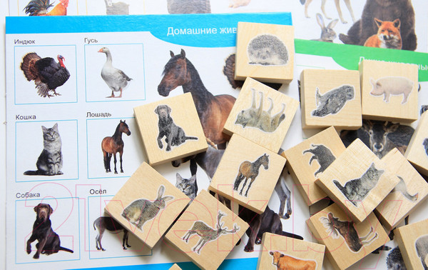 Изображение товара Развивающая игра Десятое королевство Домашние и дикие животные / 02667