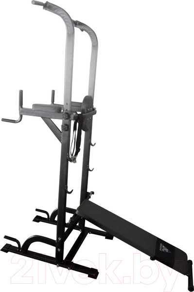 Изображение товара Турник-брусья DFC Power Tower G005