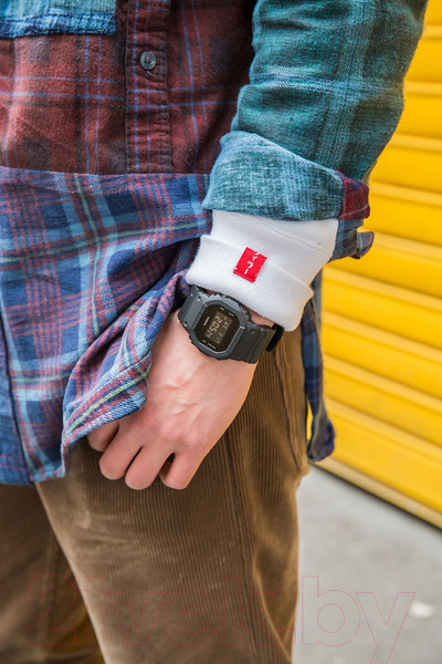 Изображение товара Часы наручные мужские Casio DW-5600BBN-1ER