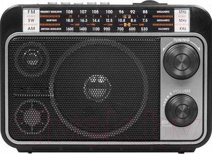Изображение товара Радиоприемник Ritmix RPR-171