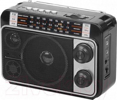 Изображение товара Радиоприемник Ritmix RPR-171