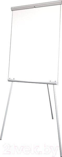 Изображение товара Флипчарт 2x3 EcoBoards TF01 Eco (70x100)