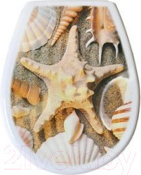 Изображение товара Сиденье для унитаза Bisk Lilia Foto 80379 (ракушка)