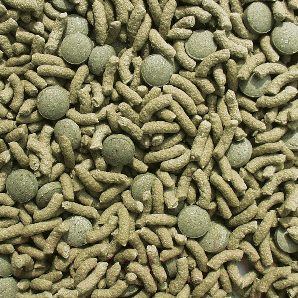 Изображение товара Корм для рептилий Sera Raffy Vital 01832 (250мл/47г)