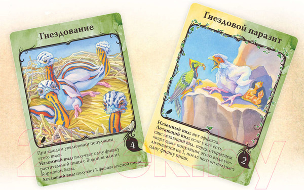 Изображение товара Дополнение к настольной игре Правильные Игры Эволюция. Полет