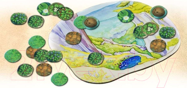 Изображение товара Дополнение к настольной игре Правильные Игры Эволюция. Полет
