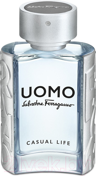 Изображение товара Туалетная вода Salvatore Ferragamo Uomo Casual Life (50мл)
