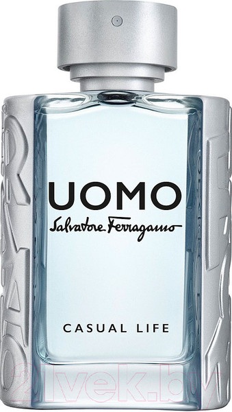 Изображение товара Туалетная вода Salvatore Ferragamo Uomo Casual Life (100мл)