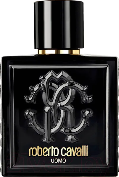 Изображение товара Туалетная вода Roberto Cavalli Uomo (100мл)
