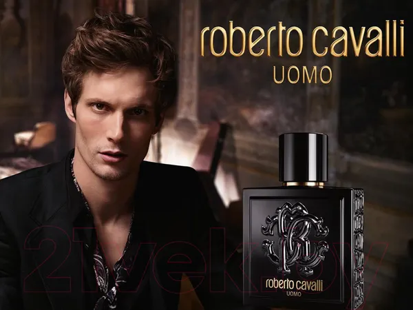 Изображение товара Туалетная вода Roberto Cavalli Uomo (100мл)