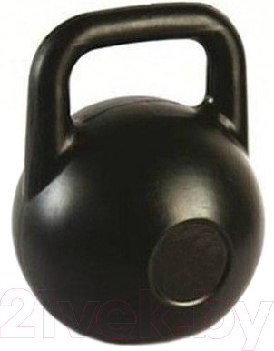 Изображение товара Гиря Титан Пластиковая (8кг)