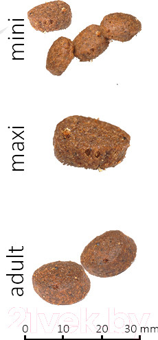 Изображение товара Сухой корм для собак Farmina N&D Grain Free Lamb & Blueberry Adult Mini (7кг)