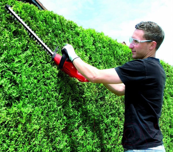 Изображение товара Кусторез электрический Einhell GH-EH 4245 (3403460)