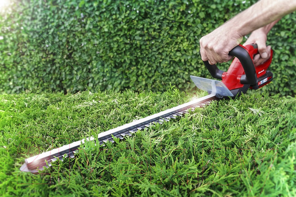 Изображение товара Кусторез аккумуляторный Einhell GE-CH 1846 Li (3410642)