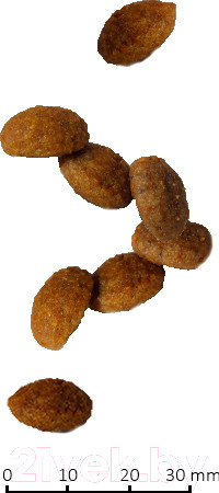 Изображение товара Сухой корм для собак Farmina Vet Life Hepatic (12кг)