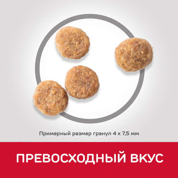 Изображение товара Сухой корм для собак Hill's Science Plan Adult Small & Miniature Sensitive Stomach & Skin (1.5кг)