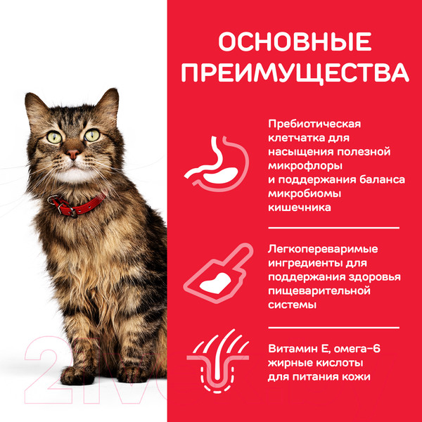 Изображение товара Сухой корм для кошек Hill's Science Plan Adult 1+ Sensitive Stomach & Skin (1.5кг)