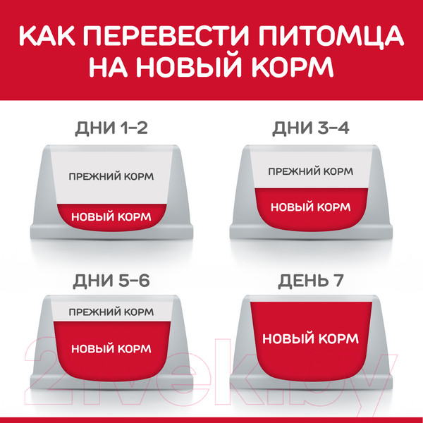 Изображение товара Сухой корм для кошек Hill's Science Plan Adult 1+ Sensitive Stomach & Skin (1.5кг)