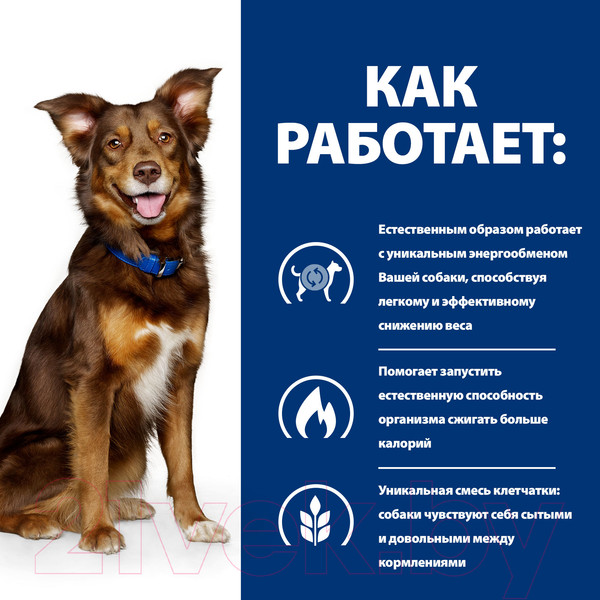 Изображение товара Сухой корм для собак Hill's Prescription Diet Metabolic Weight Managment (4кг)