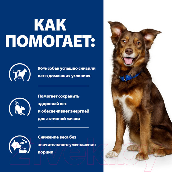 Изображение товара Сухой корм для собак Hill's Prescription Diet Metabolic Weight Managment (4кг)