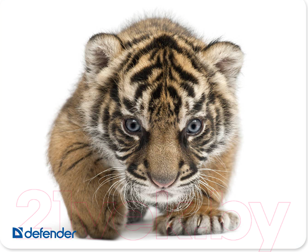 Изображение товара Коврик для мыши Defender Silk / 50706