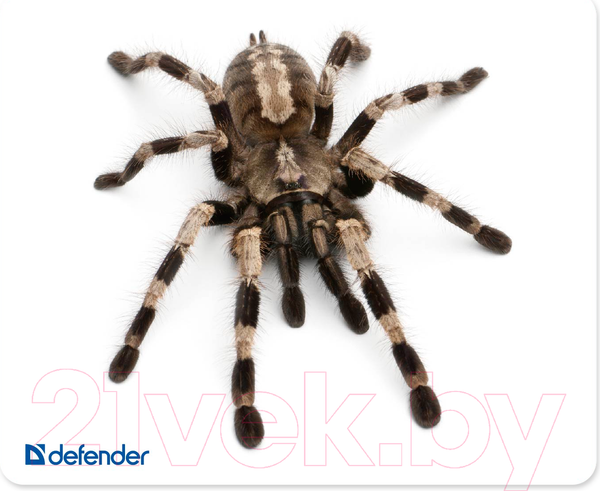 Изображение товара Коврик для мыши Defender Silk / 50706