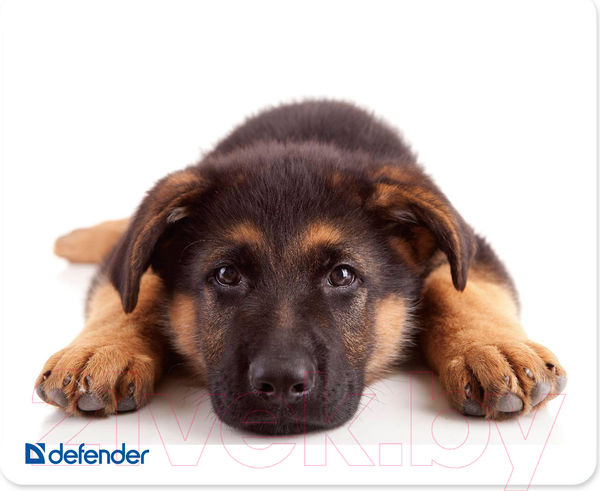 Изображение товара Коврик для мыши Defender Silk / 50706