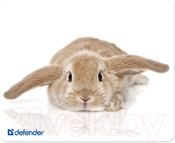 Изображение товара Коврик для мыши Defender Silk / 50706