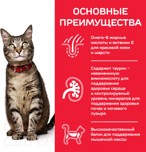 Изображение товара Сухой корм для кошек Hill's Science Plan Adult Optimal Care Chicken (15кг)