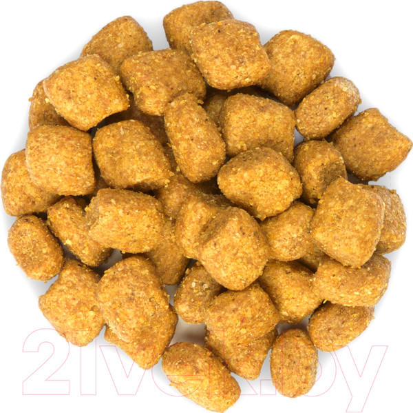 Изображение товара Сухой корм для кошек Hill's Science Plan Adult Oral Care (1.5кг)