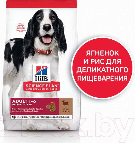 Изображение товара Сухой корм для собак Hill's SP для взрослых собак средних пород, с ягненком и рисом / 604357 (14кг)