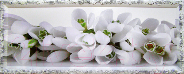 Изображение товара Картина Декарт Белые цветы 8Л0453 (в раме)