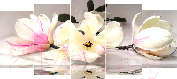 Изображение товара Картина модульная Декарт Цветы на столе 8Л0525 (в раме)