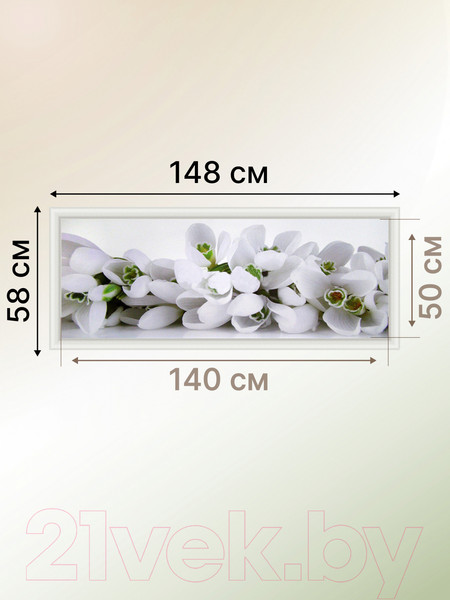 Изображение товара Картина Декарт Белые цветы крокусы 8Л0554