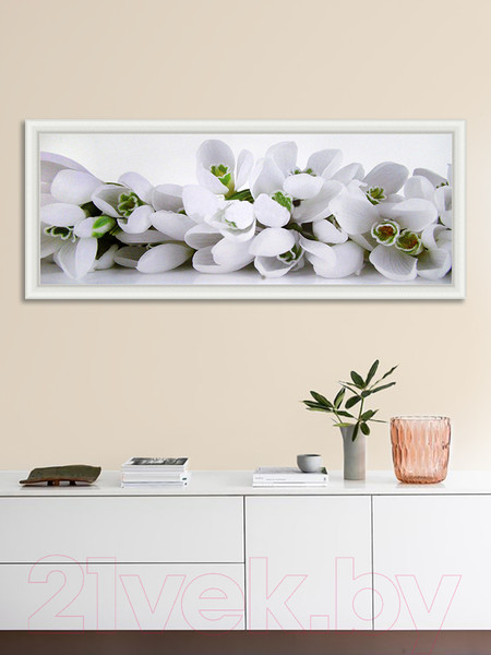 Изображение товара Картина Декарт Белые цветы крокусы 8Л0554