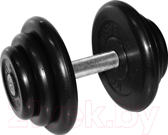 Изображение товара Гантель MB Barbell Профи (18.5кг)