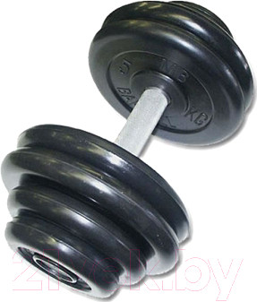 Изображение товара Гантель MB Barbell Профи (26кг)